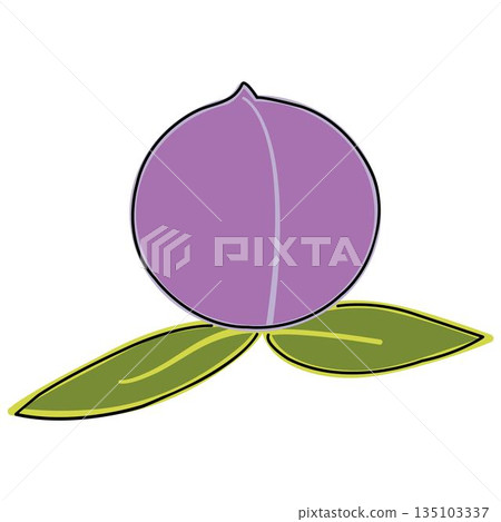 plum with two leaves isolated on white background 135103337
