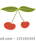 Two cherries isolated on white background 135103343