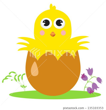 Cute little chick hatched from an egg Cute little chick hatched from an egg 135103353