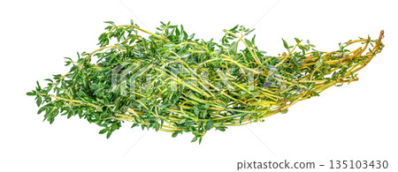 Fresh thyme herb isolated on white background Fresh thyme herb isolated on white background 135103430