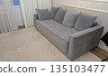 Contemporary sitting area showcasing serene aesthetics and cozy features 135103477