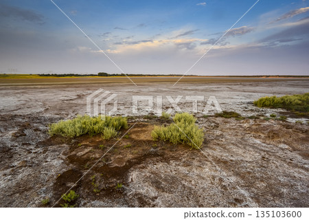Desert environment in La Pampa province, Patagonia, Argentina. 135103600