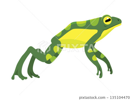 Frog jumping animation icon. Sequences or footage for motion design. Cartoon toad jumping, animal movement concept. Frog leap sequence, vector illustration 135104470