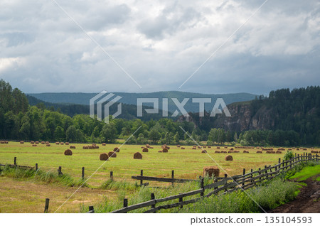 Hay bales resting in a field with a wooden fence and mountains in the background 135104593
