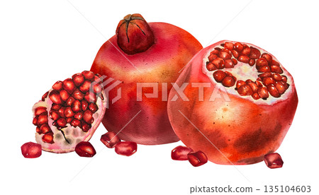 Watercolor illustration of red pomegranate with separated segments and seeds. Illustration for juice packaging, healthy lifestyle content, kitchen decor, cosmetics and wellness products. Watercolor illustration of red pomegranate with separated segments and seeds. Illustration for juice packaging, healthy lifestyle content, kitchen decor, cosmetics and wellness products. 135104603