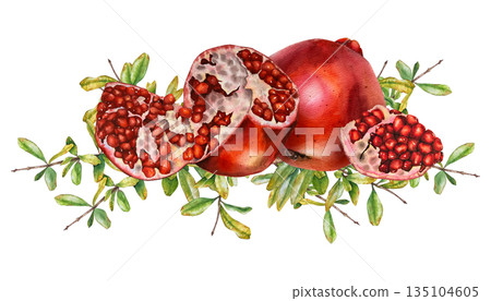 Watercolor illustration of whole and sliced red pomegranate with green leafy branches. Illustration for juice labels, skincare packaging, diet food, kitchen wall art, and wellness branding. 135104605