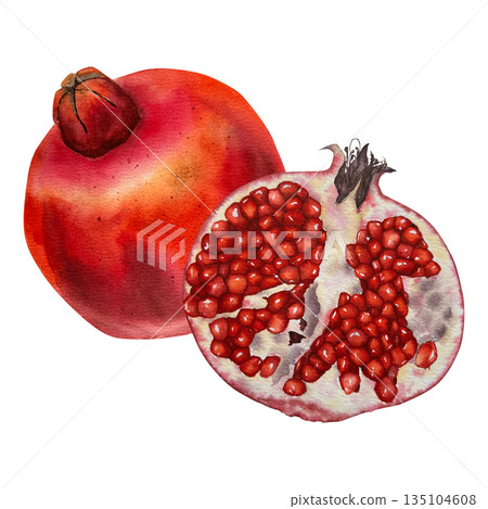 Watercolor illustration of a whole red pomegranate and a juicy half with seeds. Illustration for packaging, juice branding, cosmetics, kitchen decor, wellness and nutrition projects. Watercolor illustration of a whole red pomegranate and a juicy half with seeds. Illustration for packaging, juice branding, cosmetics, kitchen decor, wellness and nutrition projects. 135104608