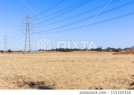 2026年1月，埼玉縣埼玉市白小鳩體育公園附近 135105416