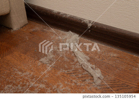 Dust bunnies and dirt accumulating near the baseboard of a parquet floor Dust bunnies and dirt accumulating near the baseboard of a parquet floor 135105954