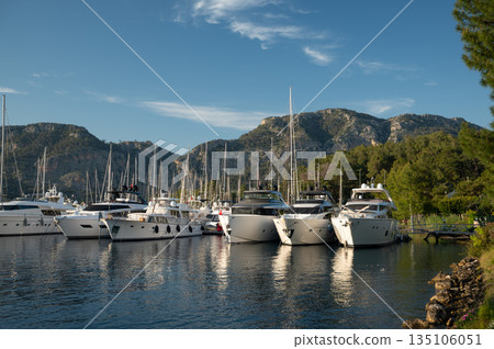 Luxurious Yachts Docked in Scenic Marina 135106051