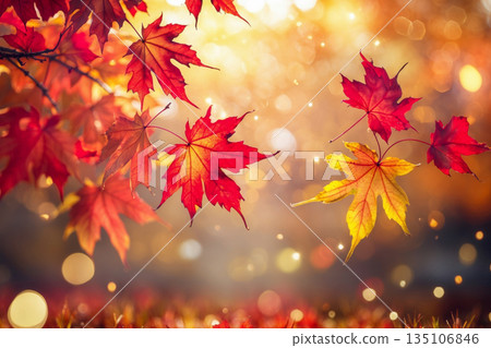 Autumn atmosphere background with yellow and red leaves, leaf fall in forest park AI Generative 135106846