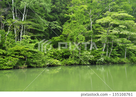 三河池塘 135108761