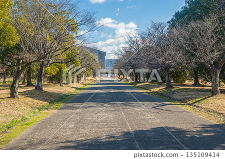 Heijo Palace Ruins National Historic Park, World Heritage Site, Cultural Assets of Ancient Nara, Nara City 135109414