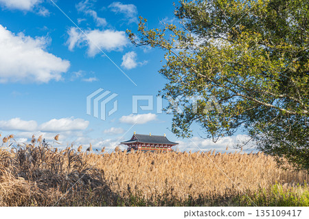 Heijo Palace Ruins National Historic Park, World Heritage Site, Cultural Assets of Ancient Nara, Nara City 135109417