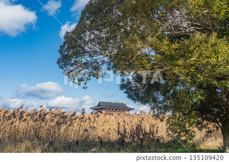Heijo Palace Ruins National Historic Park, World Heritage Site, Cultural Assets of Ancient Nara, Nara City 135109420