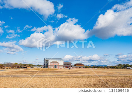 Heijo Palace Historical Park, First Restoration Work on the South Gate of the Daigokuden Hall, Nara City 135109426