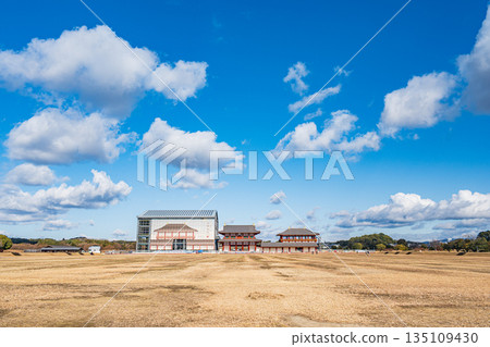 平城宮歷史公園，大極殿南門首次修復工程，奈良市 135109430