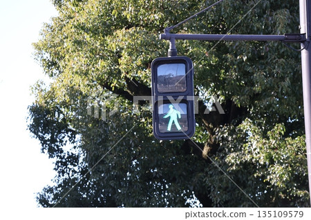 綠樹成蔭的城鎮景觀，以及綠色的行人交通號誌燈 135109579