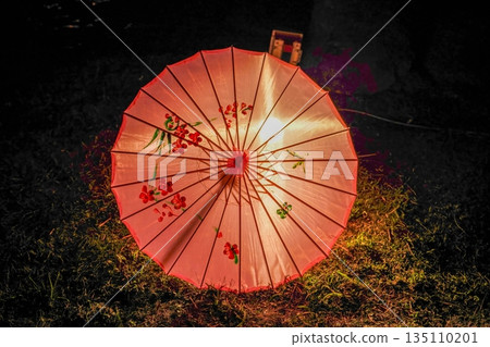 Illuminated traditional Japanese umbrellas shining in the garden at night 135110201