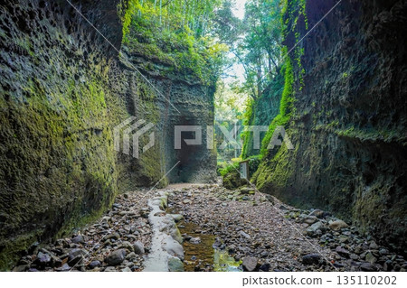一條神秘的通道穿過長滿青苔的岩壁 135110202