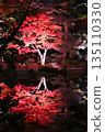 Autumn leaves reflected on the water 135110330