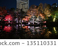 Autumn leaves light up 135110331