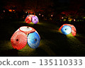 Illuminated night view 135110333