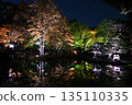 Autumn leaves lighted up 135110335