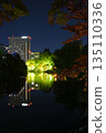 Illuminated autumn garden with autumn leaves 135110336
