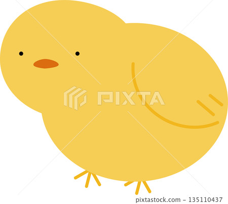 Cute chick illustration Cute chick illustration 135110437