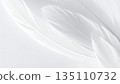 白色羽毛和白色背景 135110732
