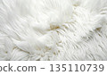 白色蓬鬆的白色皮毛 135110739