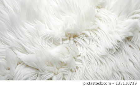 白色蓬鬆的白色皮毛 135110739