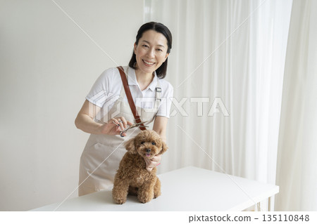 玩具貴賓犬和美容師對著鏡頭微笑,寵物沙龍照片 玩具貴賓犬和美容師對著鏡頭微笑,寵物沙龍照片 135110848
