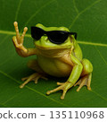 Frog-2 135110968