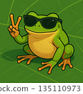 Frog-7 135110973