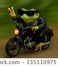 Frog-9 135110975