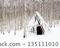 Snowy winter landscape in a biirch forest. 135111010