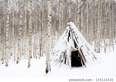 Snowy winter landscape in a biirch forest. 135111010