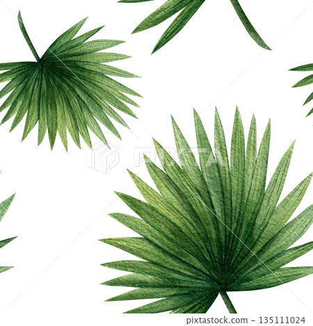 Seamless pattern with tropical palm leaves. Hand-drawn watercolor illustration on a white background. Template for textiles, fabric, and scrapbooking Seamless pattern with tropical palm leaves. Hand-drawn watercolor illustration on a white background. Template for textiles, fabric, and scrapbooking 135111024
