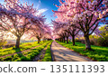 櫻花盛開的道路兩旁 | 藍天粉花點綴的春日景色（※「盛開、櫻花、道路、春天、景色」為PIXT圖片） 135111393