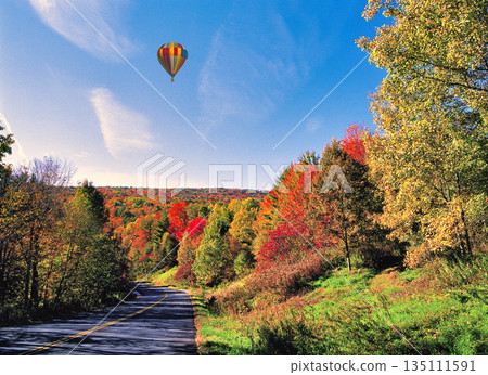 Beautiful autumn foliage scenery in New England, USA Beautiful autumn foliage scenery in New England, USA 135111591
