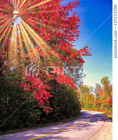 Beautiful autumn foliage scenery in New England, USA 135111598