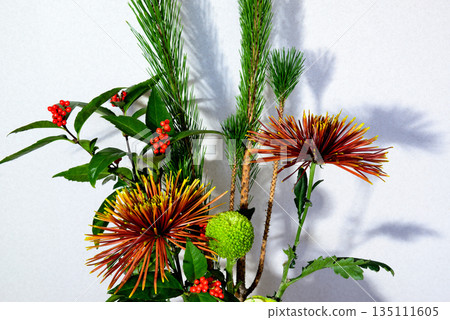 插在花瓶裡的松花、菊花、千兩等賀年花 135111605