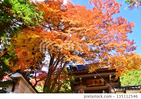 秋葉與龍門院的寺門 135112546