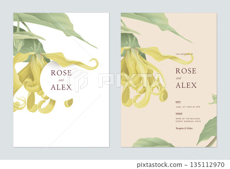 Floral wedding invitation card template design, cananga odorata flowers with leaves on bright brown 135112970