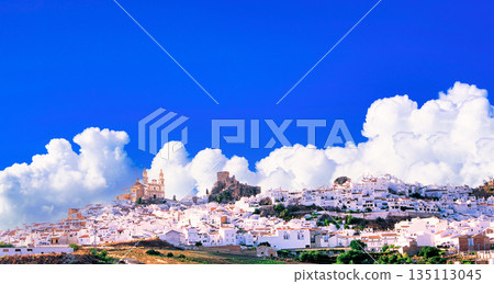 Spectacular views of the beautiful white villages of Andalusia, Spain Spectacular views of the beautiful white villages of Andalusia, Spain 135113045