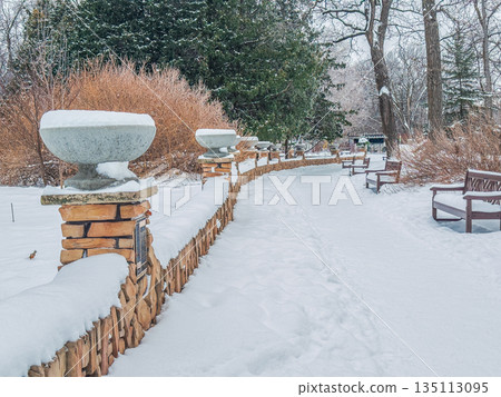 Winter park walkway covered in fresh snow, lined with stone fence and benches. Calm seasonal landscape with trees, footprints, and peaceful outdoor atmosphere. 135113095