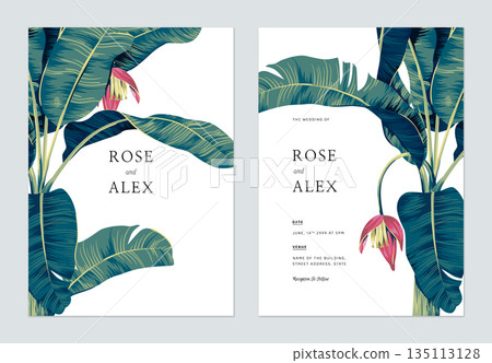 Botanical wedding invitation card template design, hand drawn banana tree 135113128