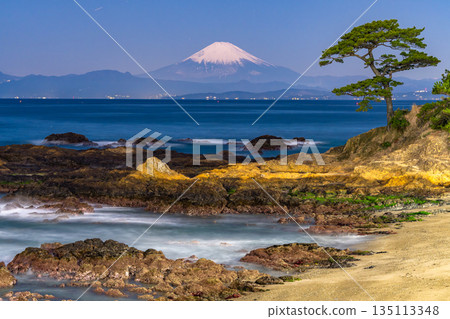 《Kanagawa Prefecture》 Mt. Fuji and the coastline / Tateishi Park 135113348
